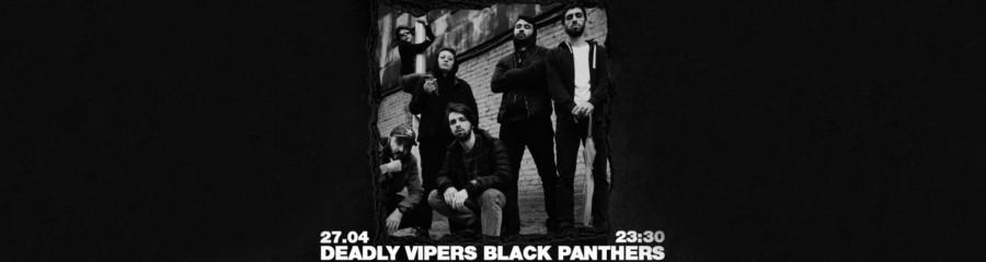 Deadly vipers black panthers
