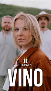 Кавер группа Vino