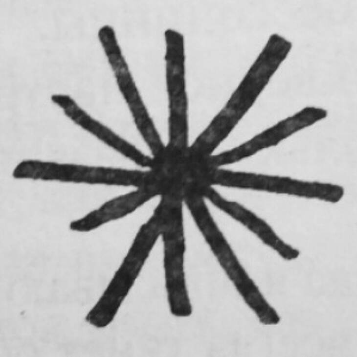 oljas_amangali-logo