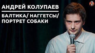 Андрей Колупаев - балтика/ наггетсы/ портрет собаки [СК#23]