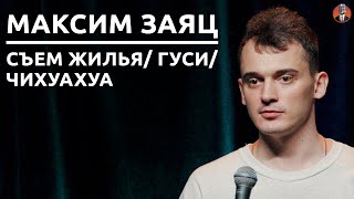 Максим Заяц - съём жилья/ гуси/ чихуахуа [СК#24]